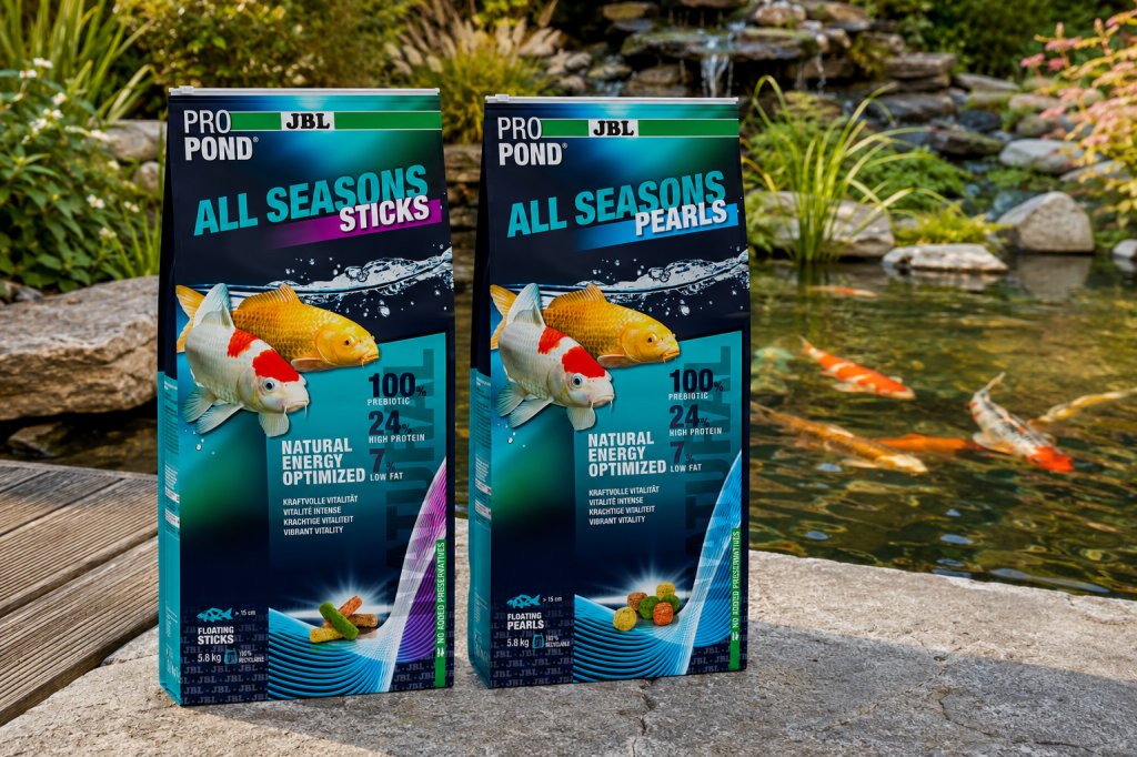 JBL ProPond All Seasons Sticks și Pearls – hrănirea corectă a peștilor de iaz în funcție de temperatura apei