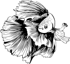 Categorii produse: Acvaristica apa dulce