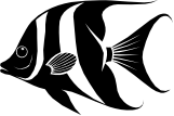 Categorii produse: Acvaristica apa marina