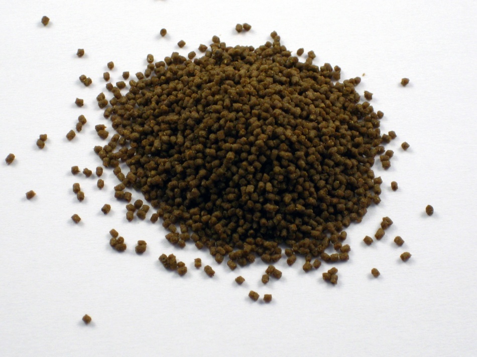 Aquarium Munster Biofish Food REGULAR L 60 g