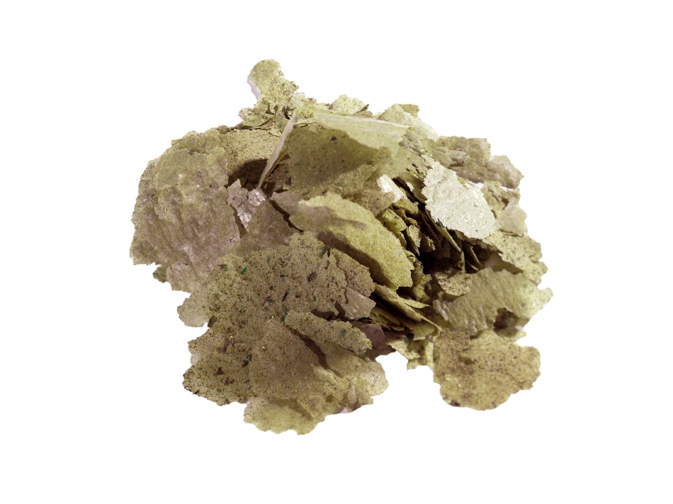 Aquarium Munster Biofish Food FLORA FLAKE 35 g