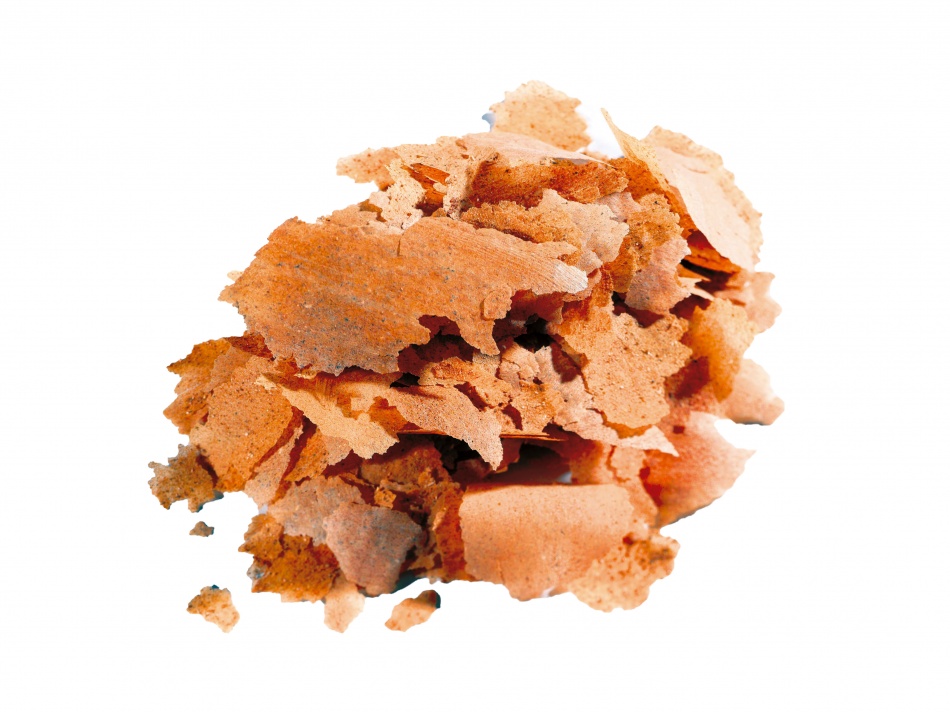 Aquarium Munster Biofish Food EXCEL FLAKE 35 g