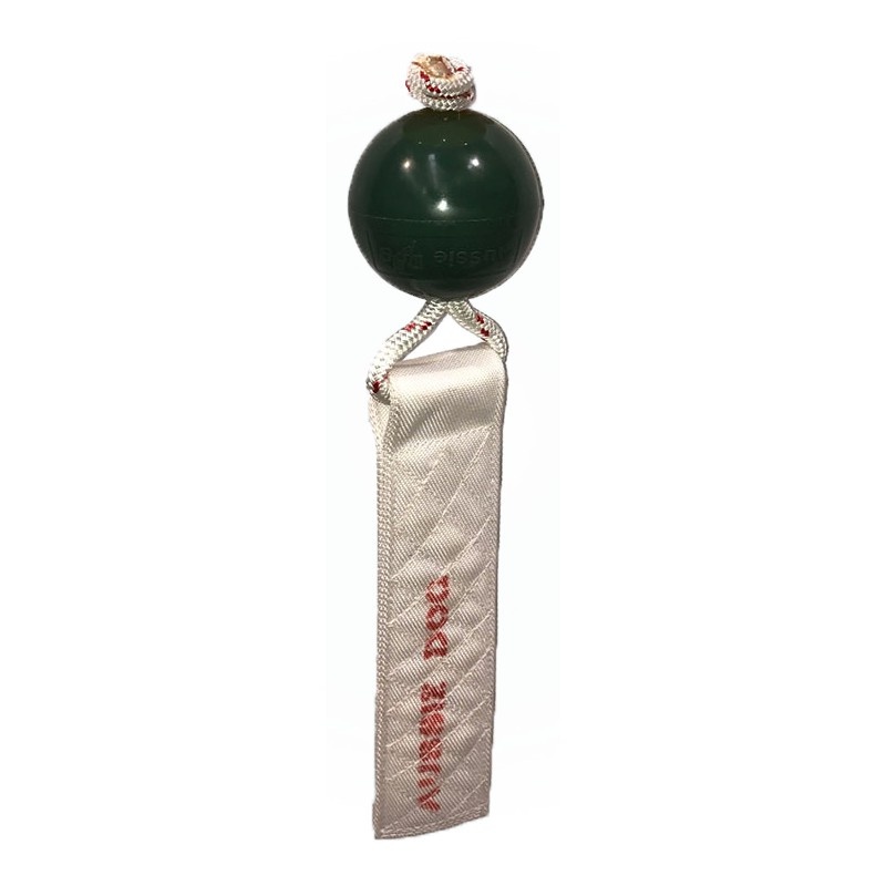Aussie Pings Thong Ball