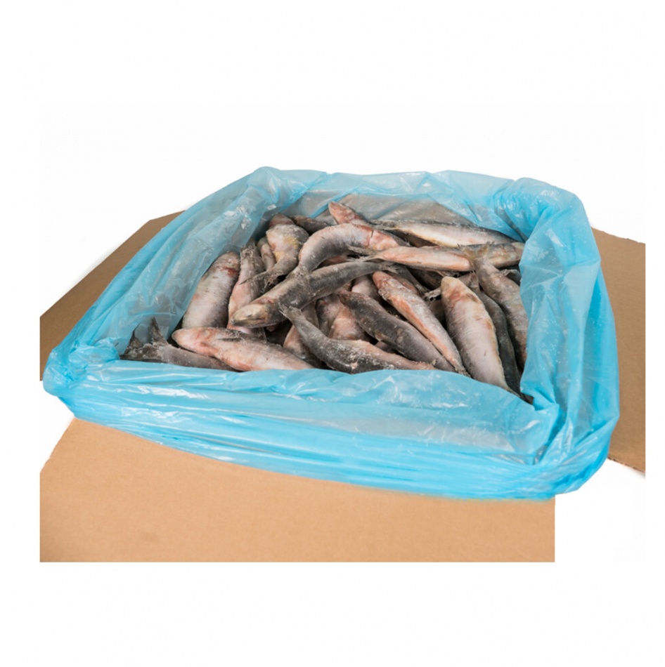 Sardine IQF - 18/23cm, pret/kg