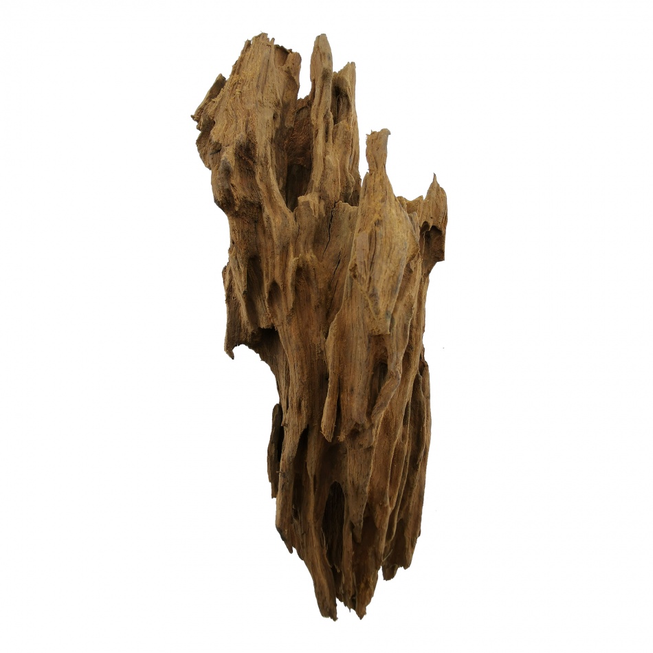 Lemn Dragon Wood