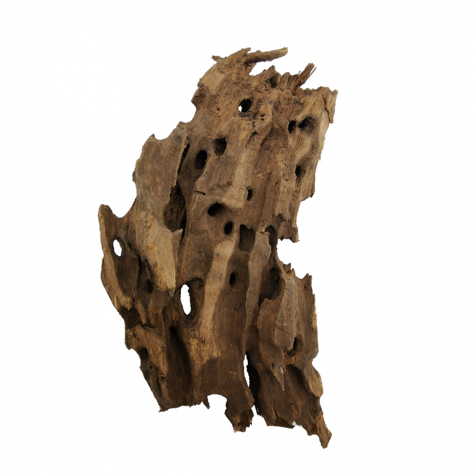 Lemn Dragon Wood