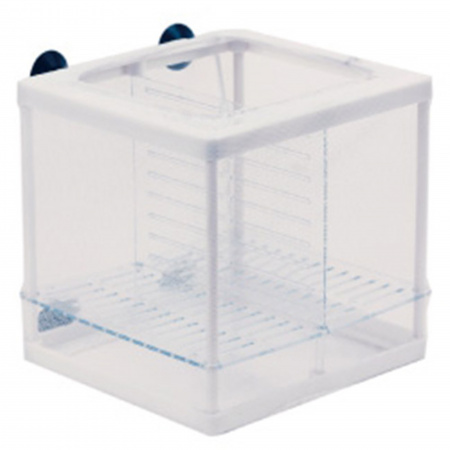 ISTA Double Isolation Breeding Box