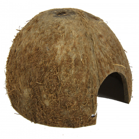 Decor acvariu JBL Cocos Cava 1/2 M