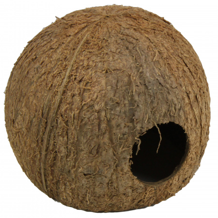 Decor acvariu JBL Cocos Cava 3/4 L