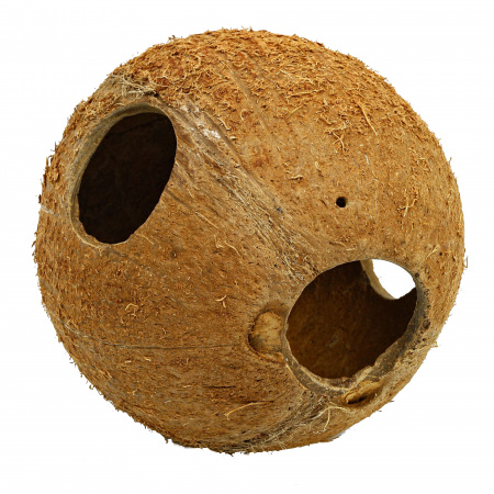 Decor acvariu JBL Cocos Cava 1/1 M