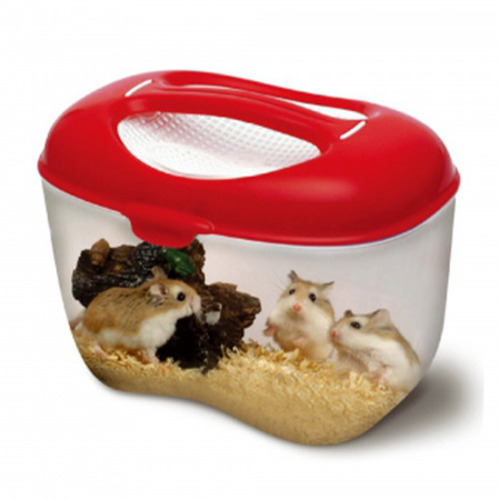 ISTA Modern Pet Box
