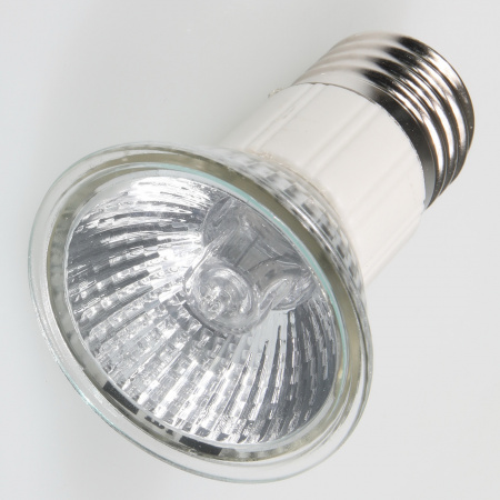 JBL ReptilDay Halogen 100W 