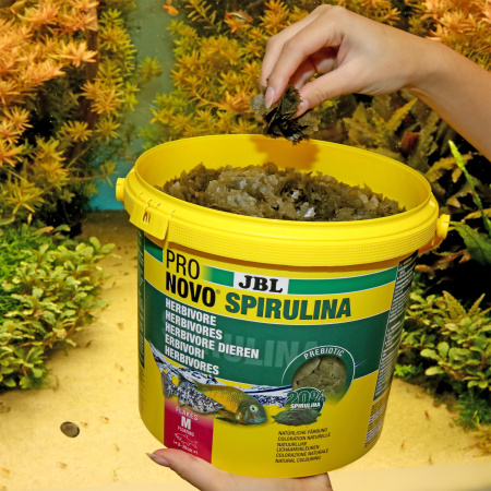 Hrana pesti acvariu JBL ProNovo SPIRULINA FLAKES M 5.5 l 