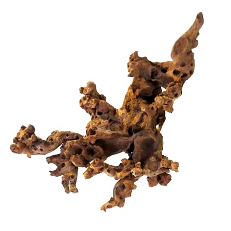 Radacina Coral Wood