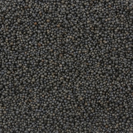 Sol fertil Tropical Aquarium Soil Grey 2-4 mm