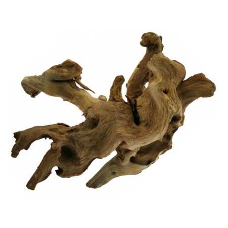 Radacina Mopani Wood