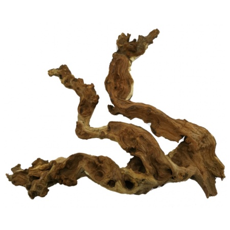 Radacina Mopani Wood