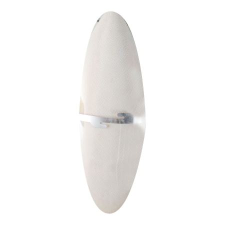 Os sepie 23cm