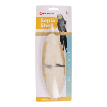 Os sepie 23cm