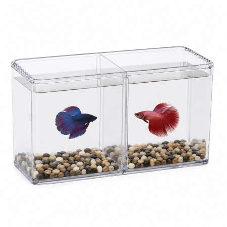 ISTA Betta Fish Double Display Case