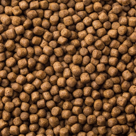 Wisbroek Sea Duck Floating 15kg