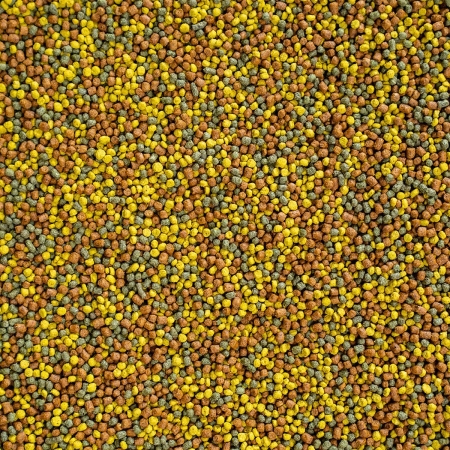Wisbroek Lory Diet 10kg