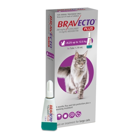 BRAVECTO Pisica PLUS 500mg