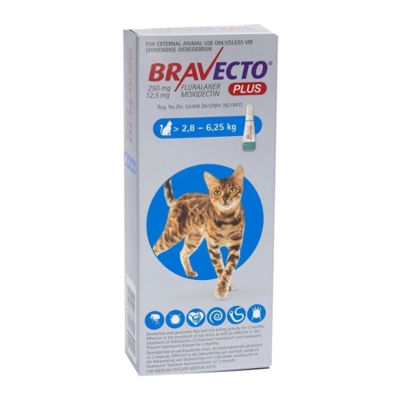 BRAVECTO Pisica PLUS 250mg