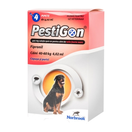 PESTIGON XL (40-60kg) FIPRONIL 4pt