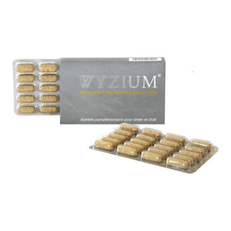 WYZIUM 40cpr
