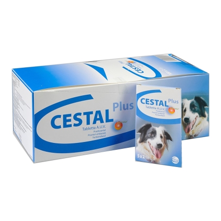 CESTAL DOG Plus Flavour 10cpr