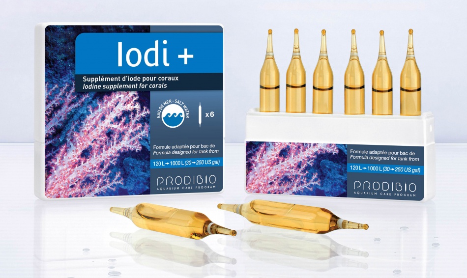 Prodibio Iodi+ x 6 