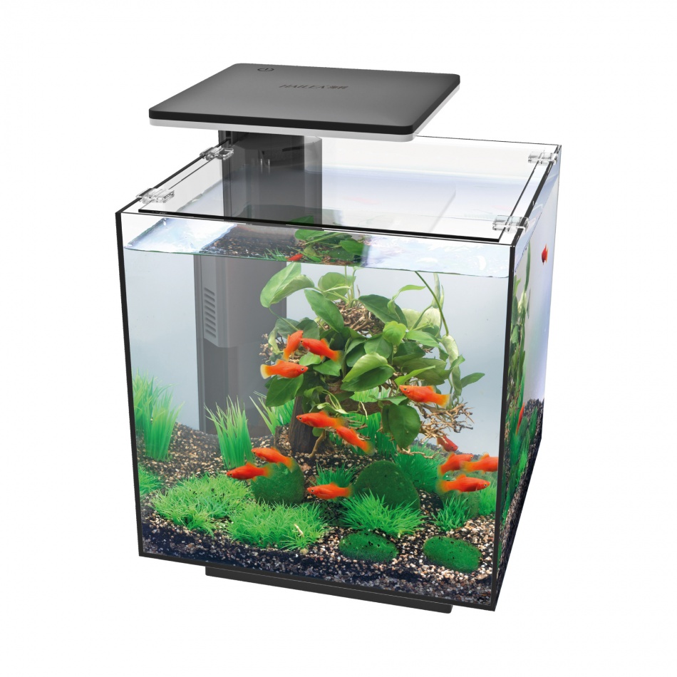 Acvariu Hailea QUBIQ 30 LED Negru