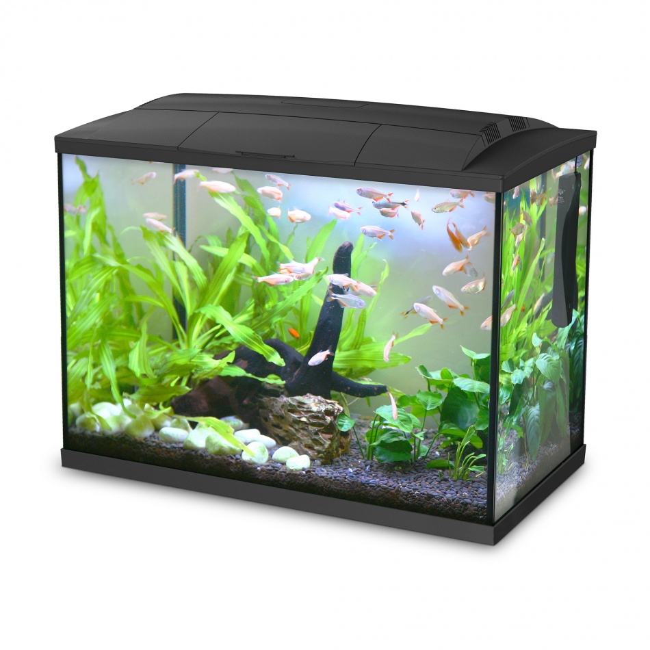 Acvariu Hailea K60 Negru