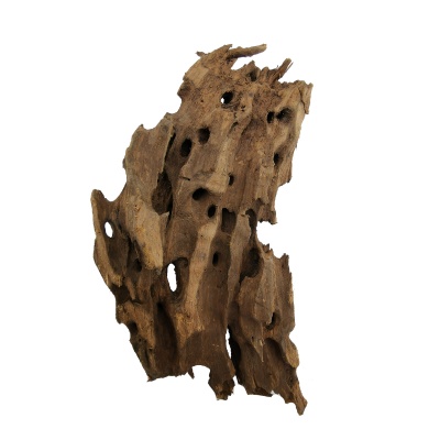 Lemn Dragon Wood