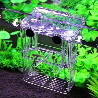 ISTA Breeding Box S