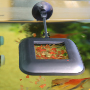 JBL Novo Station