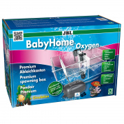 JBL BabyHome Oxygen