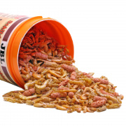 Hrana testoase JBL Turtle food 2.5 l