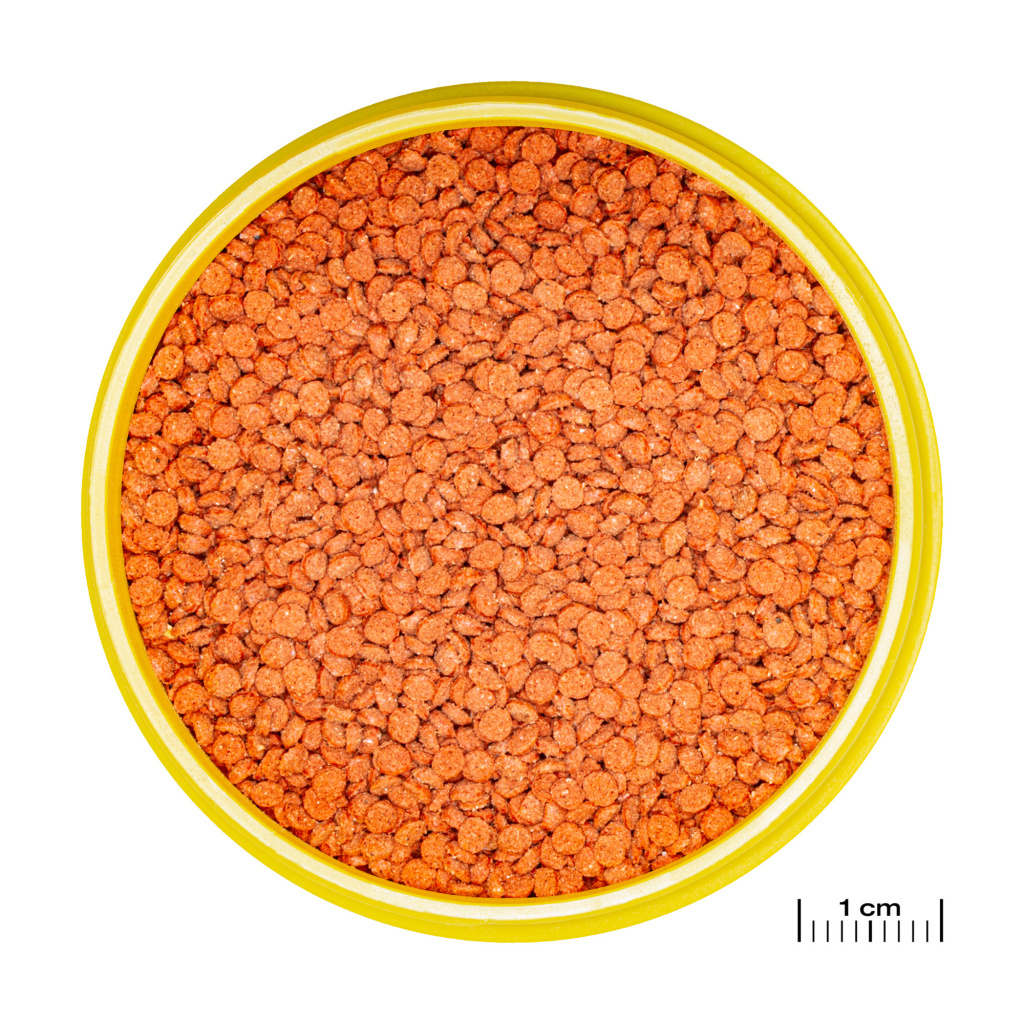 Hrana pesti acvariu JBL ProNovo BITS GRANO M 5.5 l 