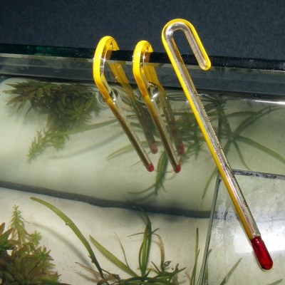 Termometru JBL Hang-on Aquarien-Thermometer S (6mm)