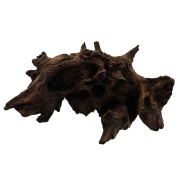 Radacina Drift Wood
