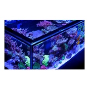 Acvariu Red Sea REEFER Peninsula G3 500 Negru