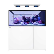 Acvariu Red Sea REEFER Peninsula S700 G3 Deluxe Alb 2 X RL170S