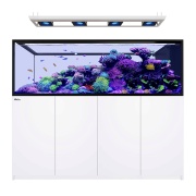 Acvariu Red Sea REEFER Peninsula S950 G3 Deluxe Alb 3 X RL170S