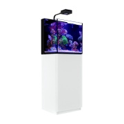 Acvariu MAX Nano Cube G2 75L Alb (incl. 1x Reef LED 50)