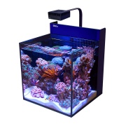 Acvariu MAX Nano Cube G2 75L Alb (incl. 1x Reef LED 50)