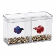 ISTA Betta Fish Double Display Case