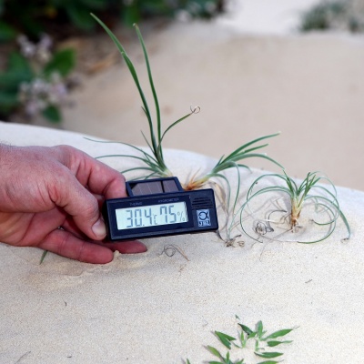 Substrat terariu JBL TerraSand Natur White 7.5 kg