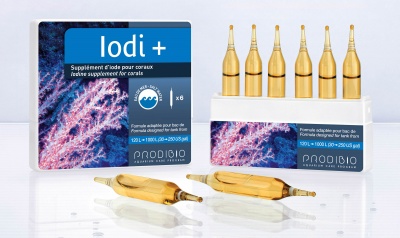 Prodibio Iodi+ x 6 